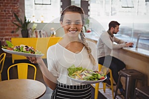Portrait of waitress holding plates with salad while businessman using laptop photo