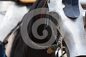 Portrait of a war horse in iron medieval armor on the muzzle. Front view.