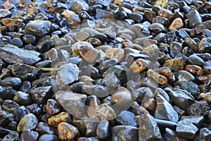 Portrait of wet stones and pebbles lying on a shore