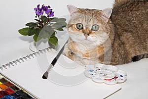 Portrait on a white background