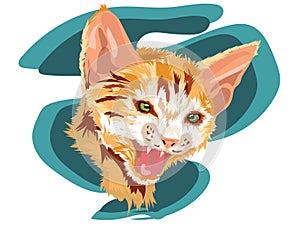 Portrait of white cat with orange in vector illustration with blue background