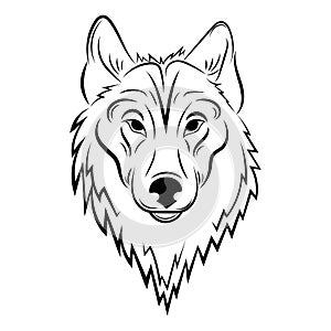 Portrait of a wolf. Black and white illustration of a wild wolf. Linear art. Forest predatory animal. Tattoo.