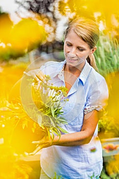 Portrait of woman buyer looking at flower on pot in shop