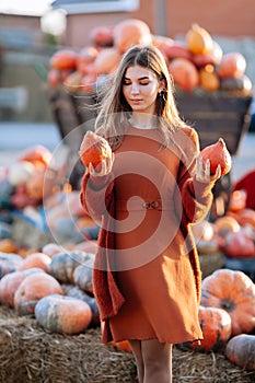 Portrait of woman choosing between two ripe orange pumpkins in hands near wagon with orange pumpkin on farmers market in