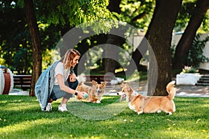 Portrait of woman with dogs Welsh Corgi Pembroke in dog park