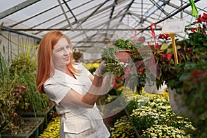 Portrait woman entrepreneur verifying flowers in the green house