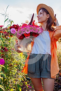 Portrait of woman farmer picking flowers in bucket in summer garden at sunset. Cut flowers harvest of zinnias.