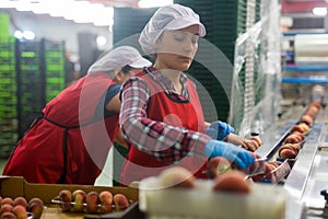 Portrait of woman sorts peaches on a fruit packing line