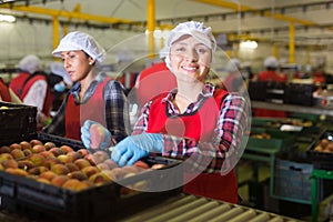 Portrait of woman sorts peaches on a fruit packing line