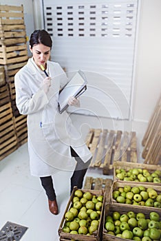 Woman Specialist in Food Quality and Health Control Checking Apples