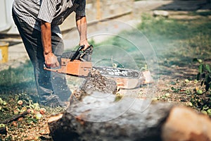 Portrait of worker, lumberjack cutting trees.