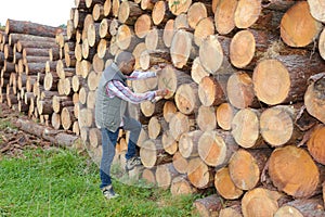 portrait worker marking tree trunks