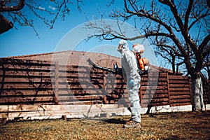 Portrait of worker wearing protective clothing and spraying insecticide in fruit orchard