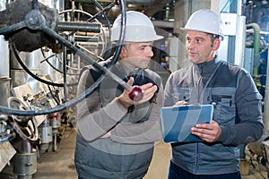portrait workers on plant