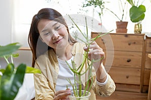 Portrait of young asian female smiling with potted plants made from recycled plastic bottles. Bringing plastic bottles or waste
