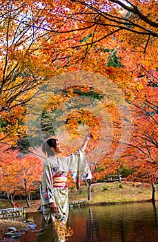 portrait of young asian girl traveller in traditional kimino dress standing holding meple leavse in the autumn leaves season at