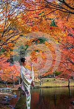 portrait of young asian girl traveller in traditional kimino dress standing holding meple leavse in the autumn leaves season at