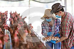 Portrait of young asian woman farmer collect fresh eggs in hands in Eggs chicken farm