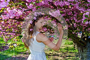 Portrait of young attractive woman with pink flowers in her hair is in white dress in blossom sakura in the park in spring