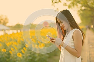 Young beautiful Asian woman using mobile phone against field of blooming sunflowers