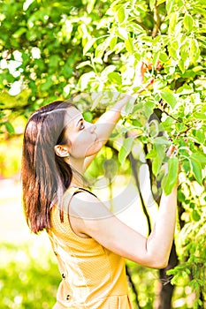 Portrait of young beautiful woman in spring blossom trees