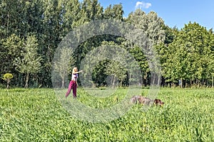 Portrait of a young blonde woman training a hunting dog of the Kurz-Haar breed in the park. summer time vacation