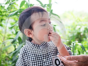 Portrait young boy 2 year old child eating snack food