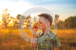 Portrait of young boy eating peach. Happy child in sun summer day. Kid with fruit in nature background.