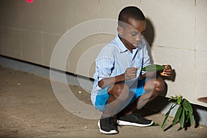 Portrait of a young boy with leaf