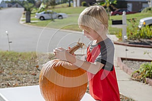 Portrait of a young boy outside carving pumpkins