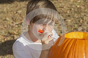 Portrait of a young boy outside carving pumpkins with precision