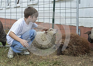 Portrait of a young boy outside at a petting zoo