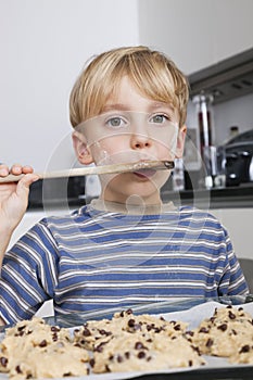 Portrait of young boy tasting spatula mix with cookie batter