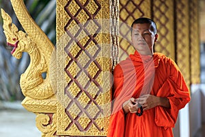 Portrait of a young Buddhist monk