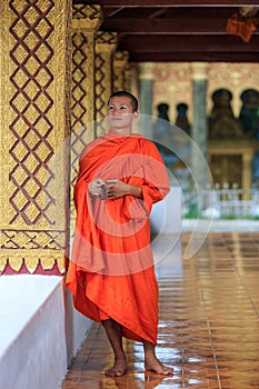 Portrait of a young Buddhist monk