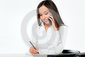 Portrait of a young business woman using computer at office