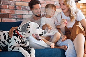 Portrait of young caucasian family having fun with dog at home