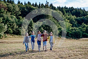 Portrait of young classmates, students during biology field teaching class, walking across meadow. Learning about