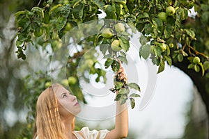 Portrait of a young cute blonde white girl near the tree with green apples.