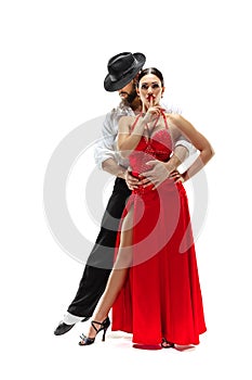 Portrait of young elegance tango dancers. Isolated over white background
