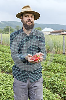 Portrait of young farmer in a strawberry field presenting his ha