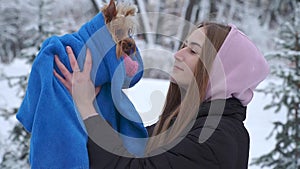 Portrait young girl kissing a yorkshire terrier in a winter snow-covered park holding a dog wrapped in a blue blanket. A