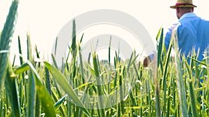 Portrait of a young guy man in a working uniform and a straw hat in the middle of a field around wheat and hay, running around i