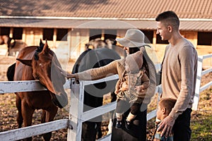 Portrait of a Young happy family having fun at countryside outdoors. Summertime. Family feeding Horses on the meadow