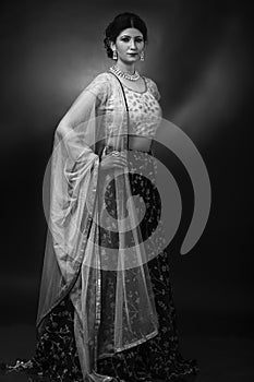 Portrait of young India lady