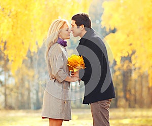 Portrait young loving couple kissing with yellow maple leafs in sunny autumn day