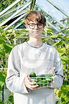Portrait of a young man in a greenhouse holding a basket of fresh cucumbers. Growing healthy organic natural food at