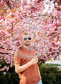 Portrait of young man in sunglasses with blooming sakura trees