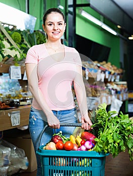 Portrait of young satisfied female purchaser holding shopping basket with fruits and vegetables