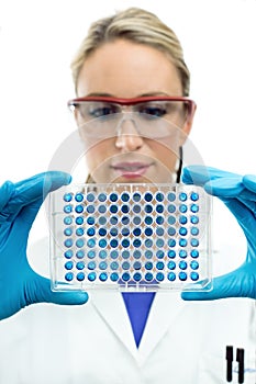 Portrait of young scientist looking a microplate